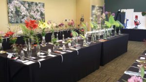 2015 KGC FS Hosta, Fern, Day Lily