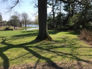 Brookby 3